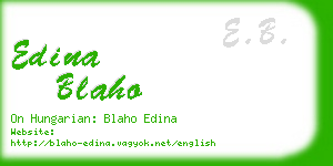 edina blaho business card